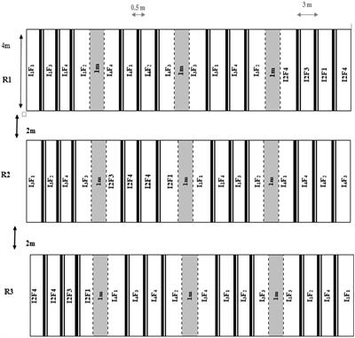 Soil properties and quinoa yield as affected by irrigation and vermicompost application under a drip-tape irrigation system